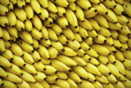В супермаркеты Германии вместо бананов завезли кокаин