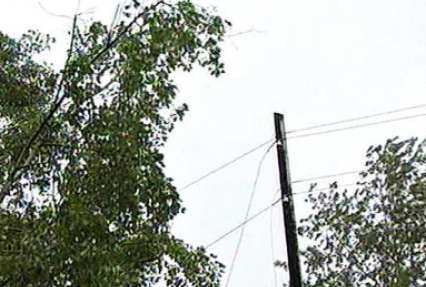 В Томске гроза повредила ЛЭП и автомобили и повалила деревья