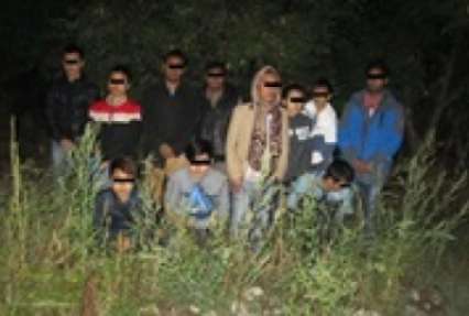 В Закарпатье задержали 13 нелегалов из Вьетнама, Бангладеша и Сирии
