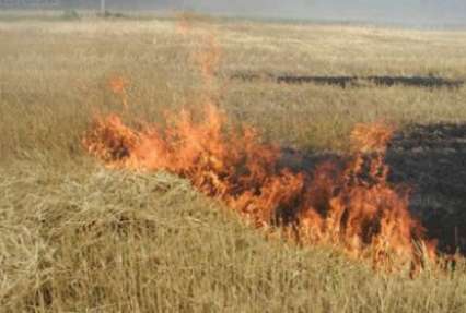 Во Львовской области женщина погибла при сжигании стерни