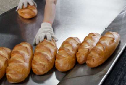Завод «Советский» закрыли на десять суток за запеченного в хлебе таракана
