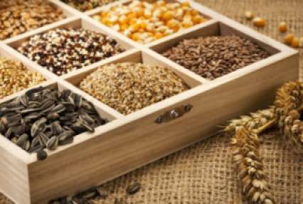 Швейцарские семена от Syngenta пользуются огромным спросом среди украинских покупателей