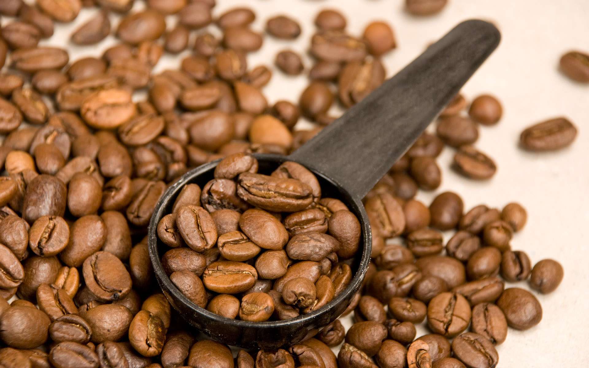 Каким бывает кофе: обзор сортов и что влияет на вкус.