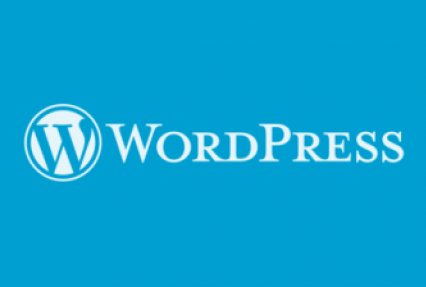 Заказать разработку сайта на Wordpress можно на действительно выгодных условиях