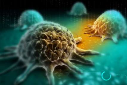 Открыт способ «отключать» устойчивость раковых клеток к противоопухолевым препаратам